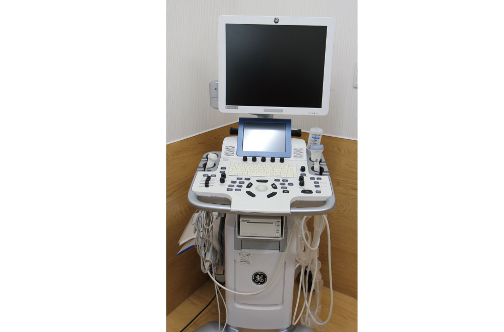 超音波診断装置（GE Vivid T8）